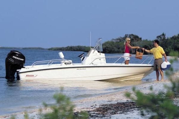 Boston Whaler 200 Dauntless image