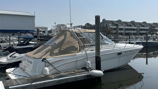 Sea Ray 290 Amberjack 