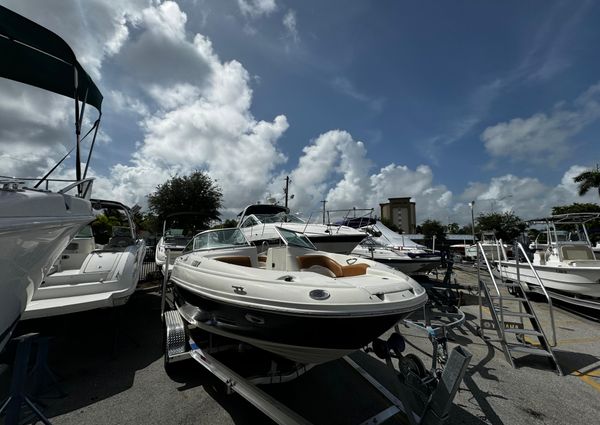 Sea-ray 200-SUNDECK image