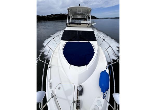 Sea Ray Fly 460 image
