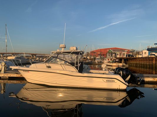 Boston Whaler 285 Conquest - main image