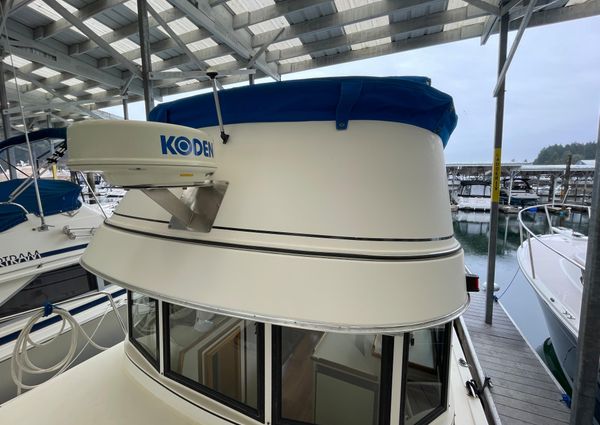 Camano 31 Trawler image