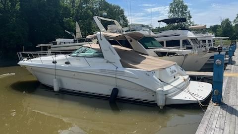 Sea Ray 400