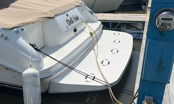 Sea Ray 400 image