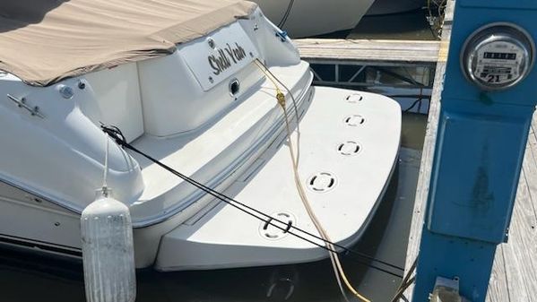 Sea Ray 400 image