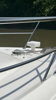 Sea Ray 400 image