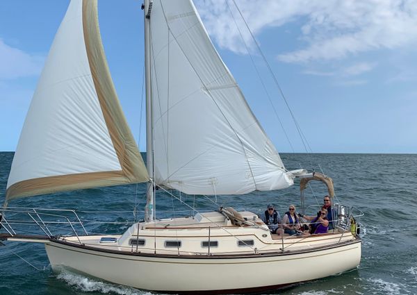 Island Packet 27 Sloop image