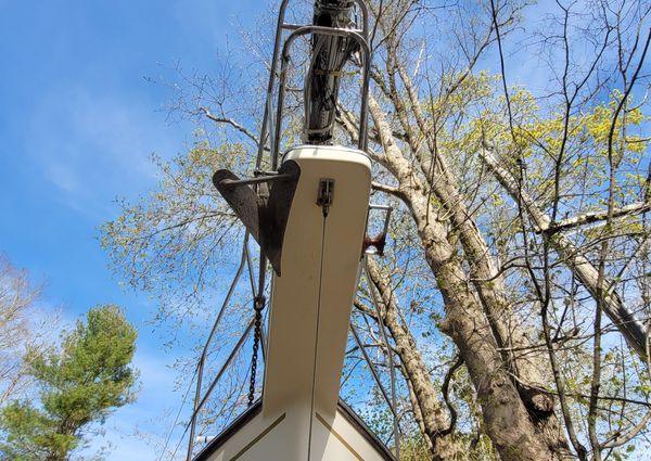 Island Packet 27 Sloop image