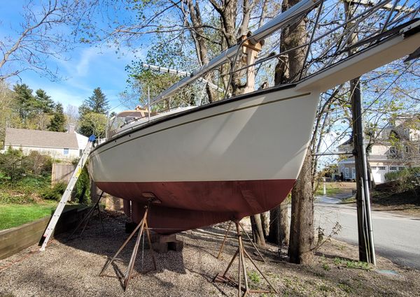 Island Packet 27 Sloop image