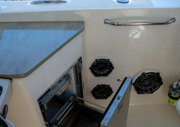 Boston Whaler 350 Realm image