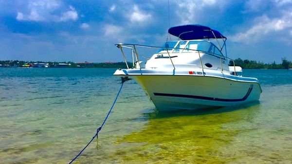 Cobia 220 Walk-Around 