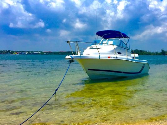 Cobia 220 Walk-Around - main image