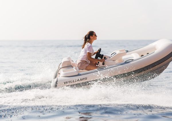 Williams Jet Tenders TurboJet 285 image