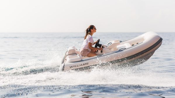 Williams Jet Tenders TurboJet 285 image