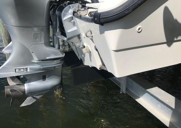 Boston-whaler 260-OUTRAGE image