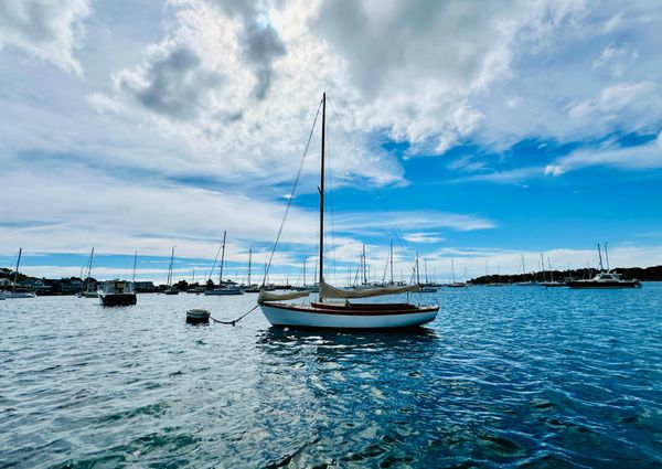 Herreshoff CUSTOM-HERRESHOFF-STYLE-DAYSAILER image