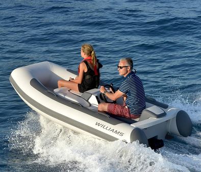 Williams Jet Tenders MiniJet 280 image