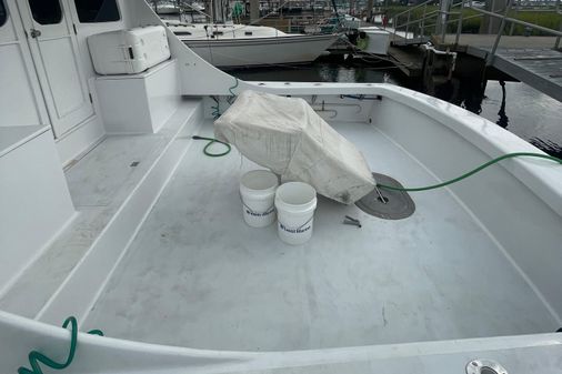Custom Carolina Alex Willis Sport Fish image