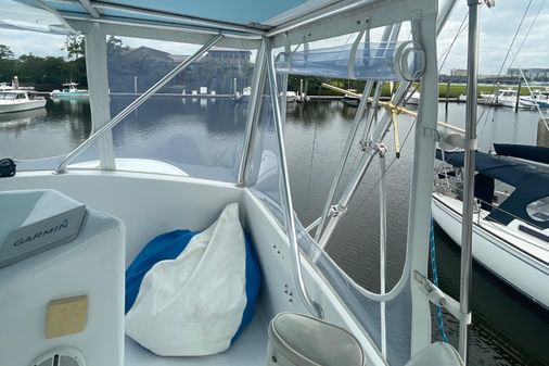 Custom Carolina Alex Willis Sport Fish image