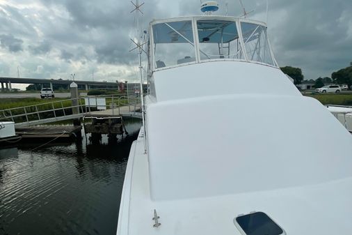 Custom Carolina Alex Willis Sport Fish image