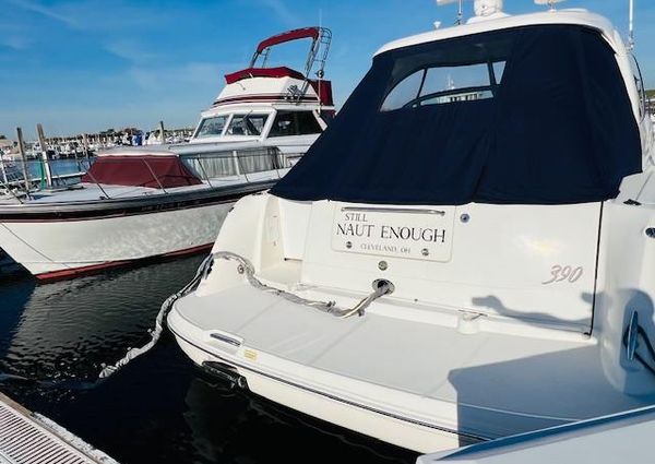 Sea Ray 390 Sundancer image