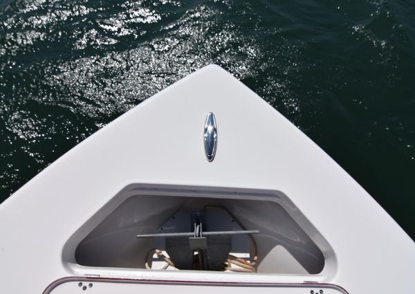 Sea-pro 239-CENTER-CONSOLE image