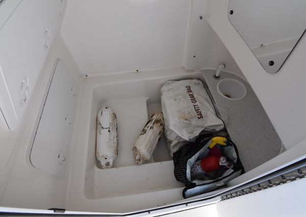 Sea-pro 239-CENTER-CONSOLE image