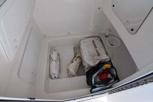 Sea-pro 239-CENTER-CONSOLE image