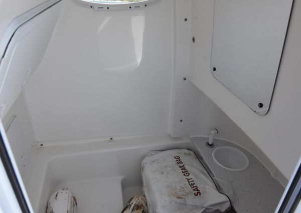 Sea-pro 239-CENTER-CONSOLE image