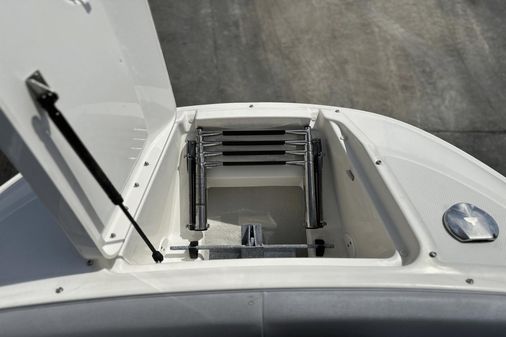 Sea Ray SDX 240 Outboard image