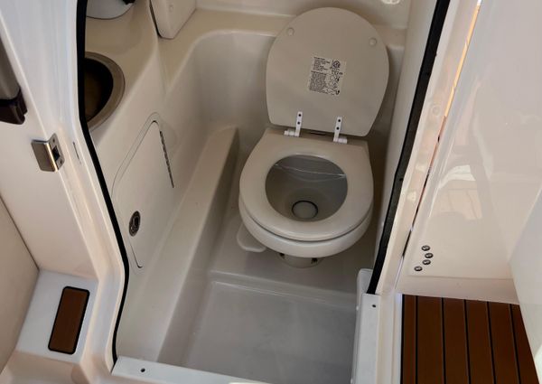 Sea Ray 270 SLX image