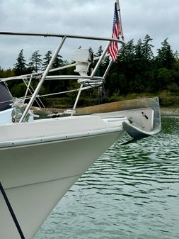 Bayliner 4788-PILOTHOUSE image