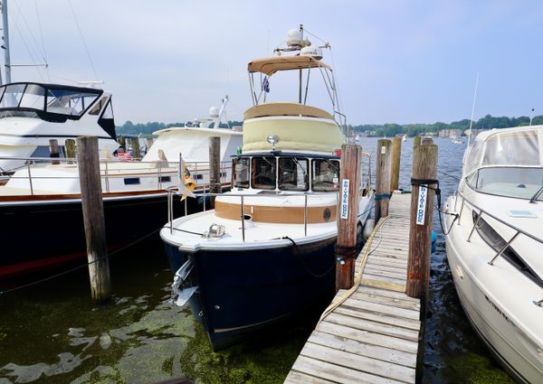 Ranger Tugs R-31 image