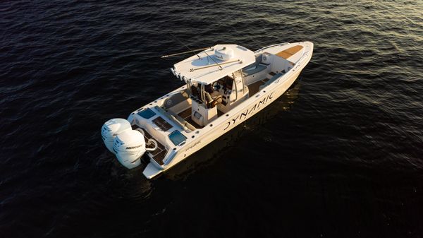 Dynamic 305V 