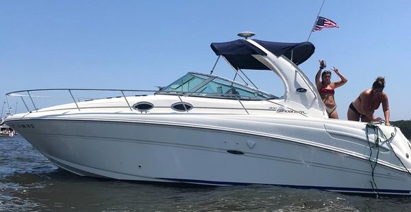 Sea-ray 300-SUNDANCER image