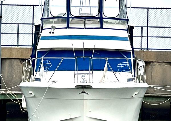 Chris-craft CORINTHIAN-480 image