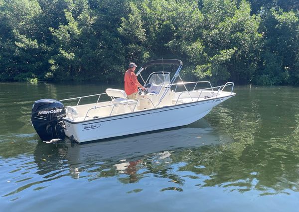 Boston-whaler 210-MONTAUK image