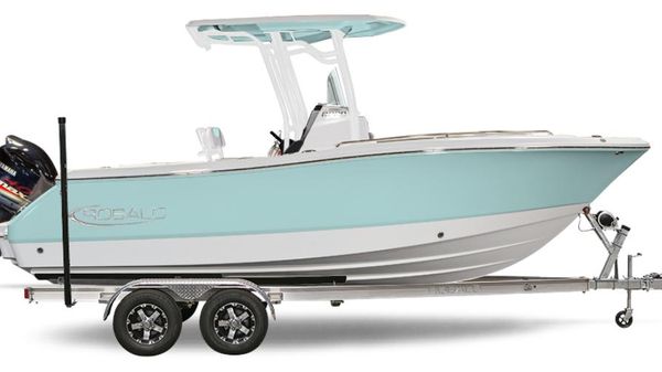 Robalo R230 Center Console