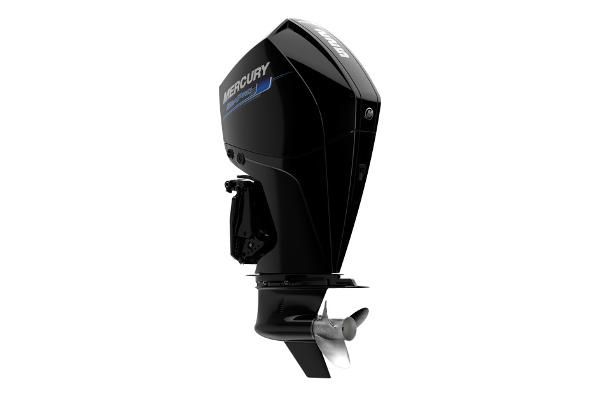 Mercury SeaPro 225 hp - main image