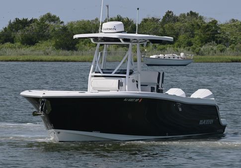 Blackfin 252 CC image