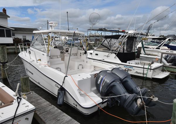 Seaswirl-striper 2901-WALKAROUND-O-B image