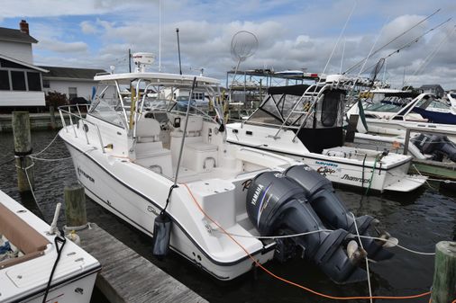 Seaswirl-striper 2901-WALKAROUND-O-B image