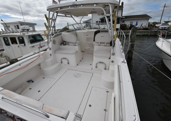 Seaswirl-striper 2901-WALKAROUND-O-B image