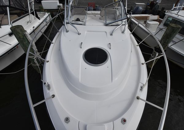 Seaswirl-striper 2901-WALKAROUND-O-B image