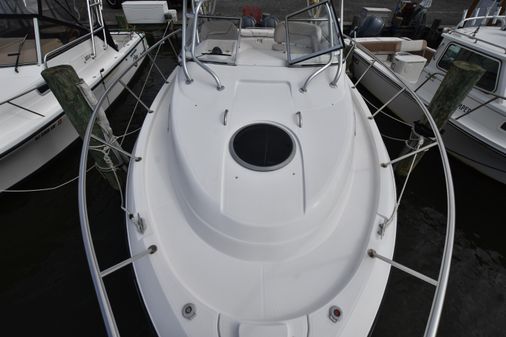 Seaswirl-striper 2901-WALKAROUND-O-B image