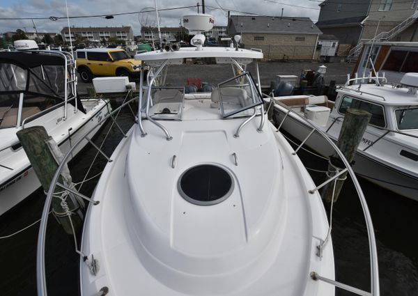 Seaswirl-striper 2901-WALKAROUND-O-B image