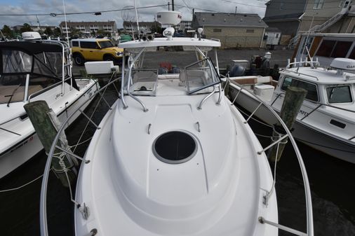 Seaswirl-striper 2901-WALKAROUND-O-B image