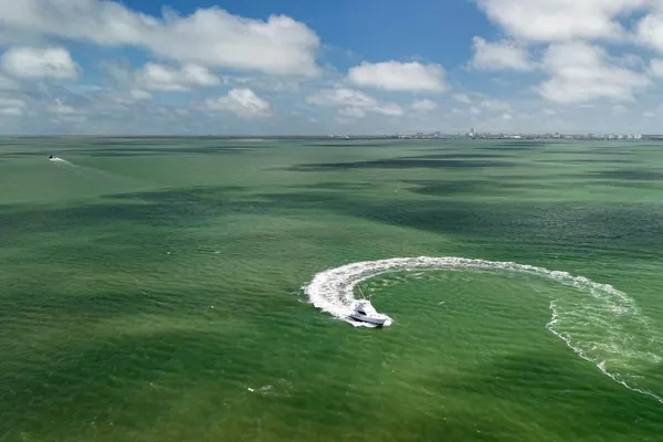 Hatteras 50-CONVERTIBLE image