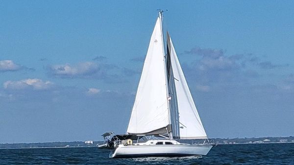 Catalina Morgan 440