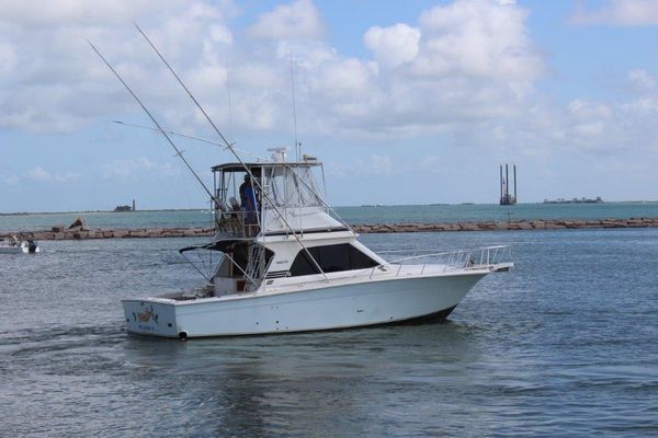 Blackfin 38-FLYBRIDGE-CAT-POWER - main image